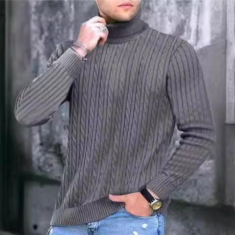 Herren Rollkragenpullover aus komfortabler Strickqualität Fudus