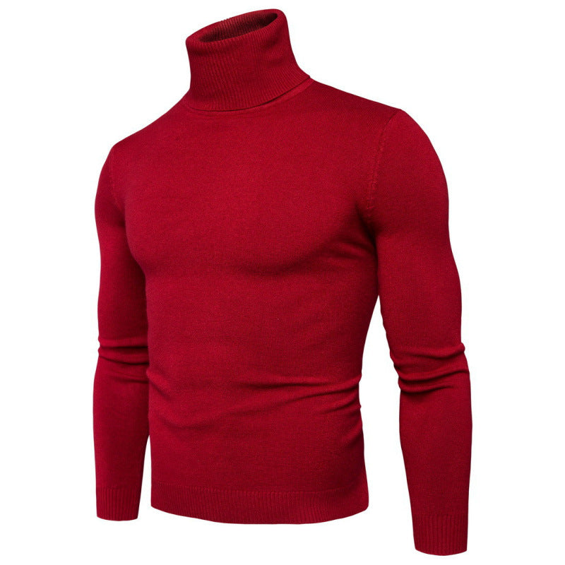 Herren Rollkragenpullover aus hochwertiger Baumwollmischung Fudus