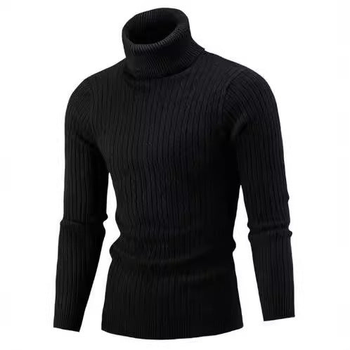 Herren Rollkragenpullover aus komfortabler Strickqualität Fudus