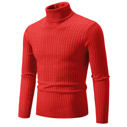 Herren Rollkragenpullover aus komfortabler Strickqualität Fudus